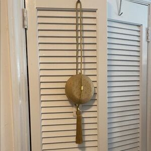 Elegant Gold mini bag with Tassel